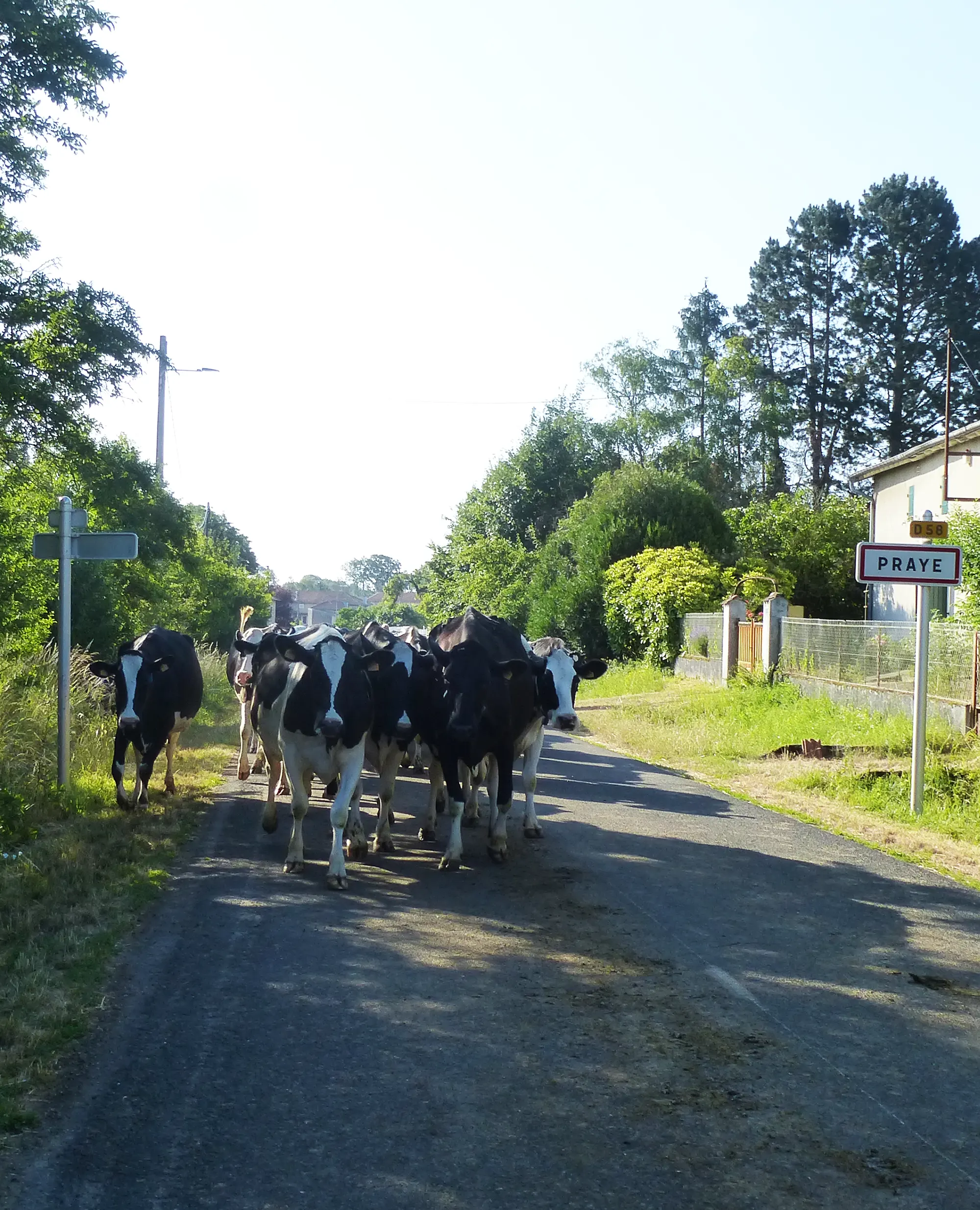La ferme 2